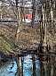 thumb_Carpenter_Wetlands_03_29_02-19ww.jpg