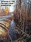 thumb_Carpenter_Wetlands_03_29_02-26ww.jpg
