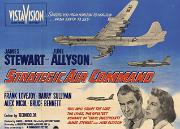 SAC-movie-poster