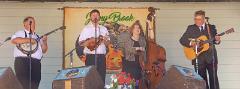 JennyBrook2018-DTO-01