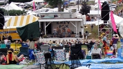 GreyFox 07 13 06-FR-008