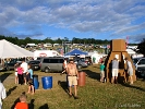 GreyFox 07 13 06-FR-018