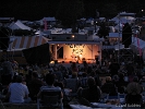 GreyFox 07 13 06-FR-056