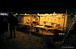 GreyFox 07 20 07-FR-057