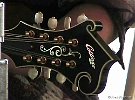 GreyFox 07 18 08-mandolin-FR-015