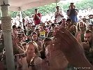GreyFox 07 18 08-mandolin-FR-067