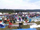 GreyFox 07 18 08 FRobbins-002