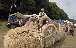 GF16-fest-parade FR-014