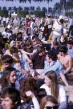 MiamiPopFestival 1968--0022