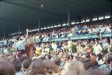 MiamiPopFestival 1968--0073