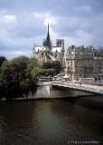 NotreDame-1982-FredLynnRobbins-015