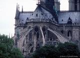 NotreDame-1982-FredLynnRobbins-018