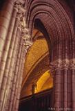 NotreDame-1982-FredLynnRobbins-024