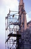 NotreDame-1982-FredLynnRobbins-026