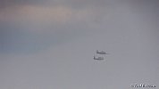 NYAirshow 8-29-15 FredRobbins-141
