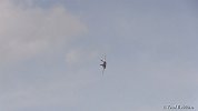 NYAirshow 8-29-15 FredRobbins-169