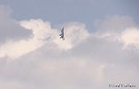 NYAirshow 8-29-15 FredRobbins-185