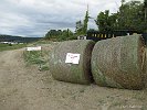 IMG 2571