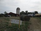 IMG 2574