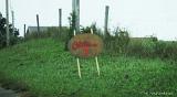 IMG 5311