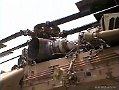 Arizona-Pima-006                                