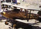 Davis-IMG 0799