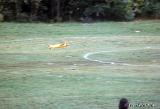 RhinebeckSept1971-003