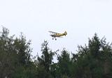 Stearman 10 17 03-009