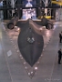 VaTrip_Sep2011-081 