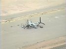 Arizona-Osprey-013