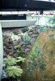 Expo1970-FredRobbins-40