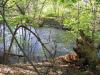 BeaconWater_05_01_06-51.jpg 112.4K