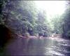 CanoeTrip_052204-007.jpg 82.7K