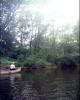 CanoeTrip_052204-017.jpg 97.4K