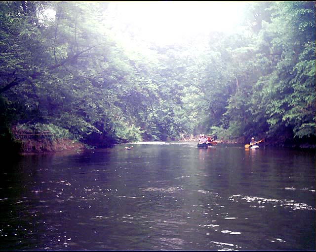CanoeTrip_052204-008.jpg 77.2K