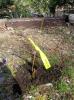 Planting-CreekBend_04_21_06-0012.jpg 58.0K