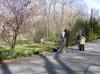 Planting-CreekBend_04_21_06-0036.jpg 81.5K