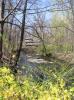 Planting-CreekBend_04_21_06-0048.jpg 63.8K