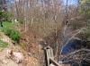 Planting-CreekBend_04_21_06-0055.jpg 102.2K