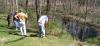Planting-CreekBend_04_21_06-0059.jpg 60.0K