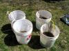 Planting-CreekBend_04_21_06-0064.jpg 81.8K