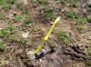Planting-CreekBend_04_21_06-0070.jpg 124.7K