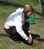 Planting-CreekBend_04_21_06-0075.jpg 43.2K
