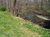 Planting-CreekBend_04_21_06-0082.jpg 97.8K