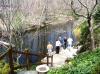 Planting-CreekBend_04_21_06-0087.jpg 100.8K