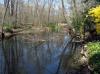 Planting-CreekBend_04_21_06-0089.jpg 77.7K