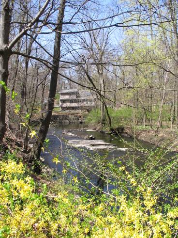 Planting-CreekBend_04_21_06-0048.jpg 63.8K