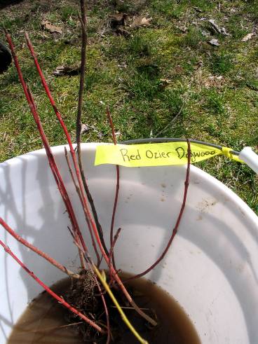 Planting-CreekBend_04_21_06-0067.jpg 43.0K