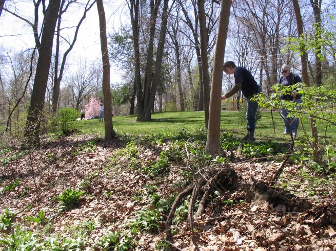 Planting-CreekBend_04_21_06-0073.jpg 109.2K