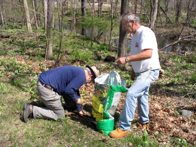 Planting-CreekBend_04_21_06-0078.jpg 99.1K